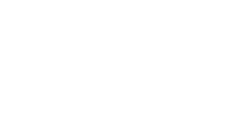 Annie Fashion